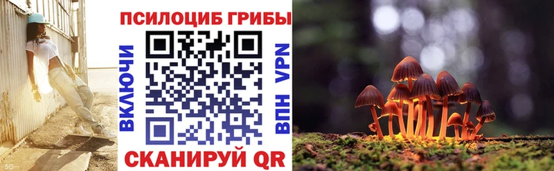 магазин продажи   Одинцово  Галлюциногенные грибы Psilocybe 