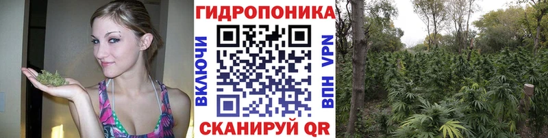 МАРИХУАНА планчик  Одинцово 